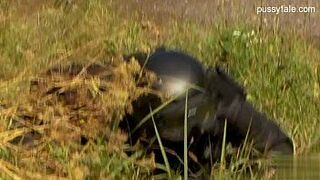 Nice ex girlfriend sex in public porn video